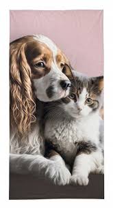 Katt Hund Handduk