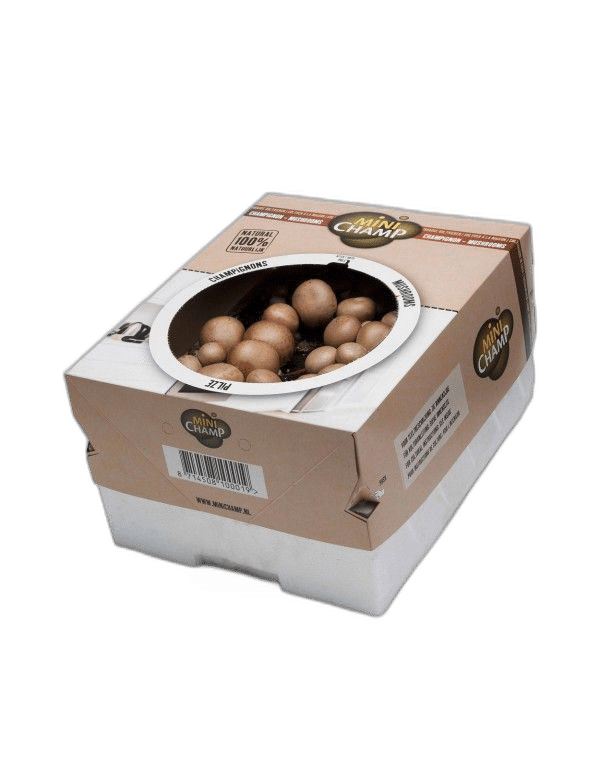 Svampodlingskit - Brun Champinjon - 7,5 liter