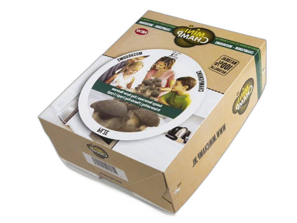 Svampodlingskit - Kungsmussling - 7,5 liter