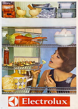 ELECTROLUX KYLSKÅP