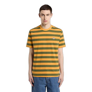 Dickies Rivergrove cypress t-shirt 