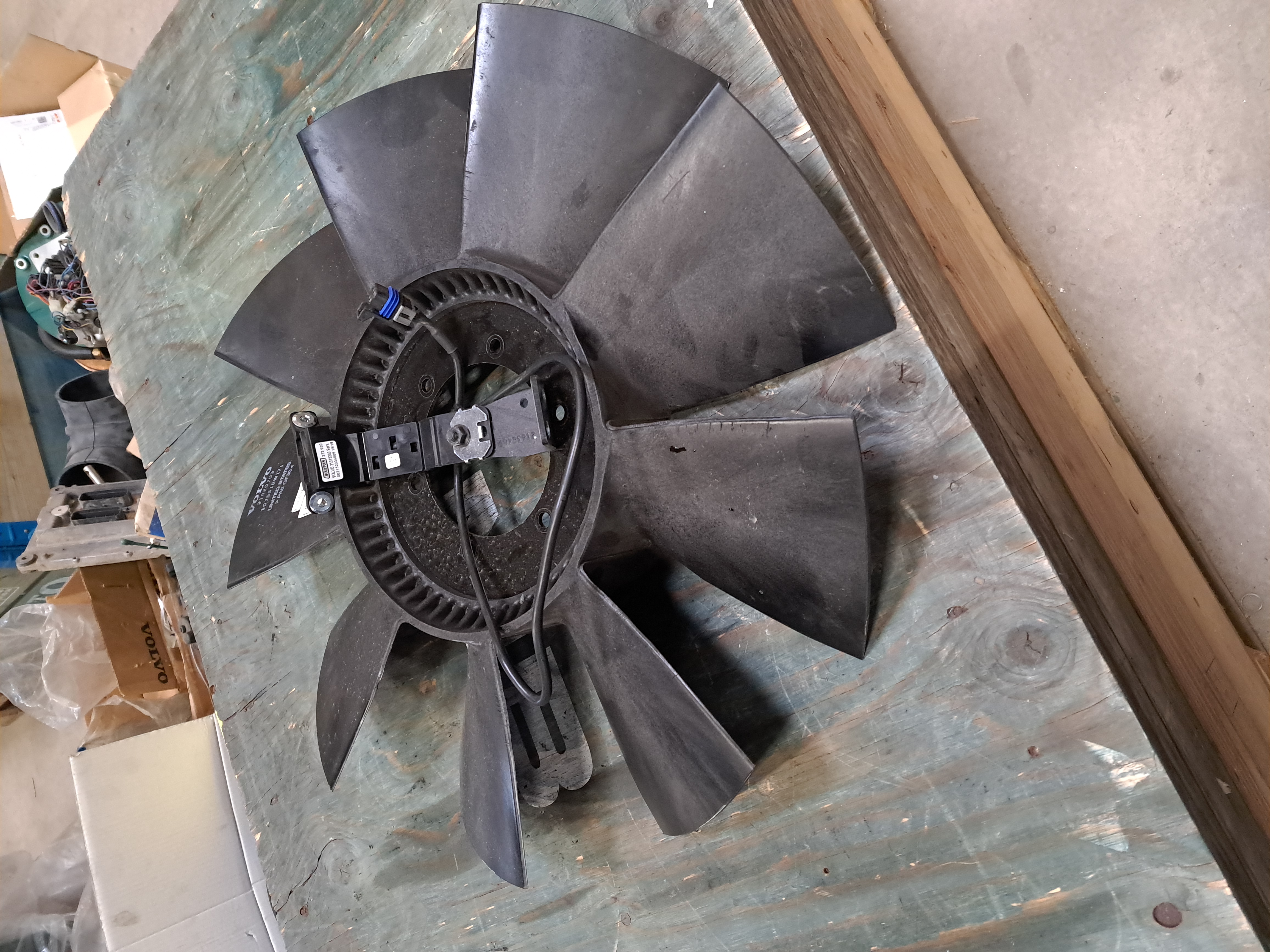 Fan