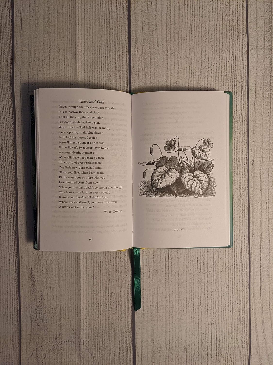 Green Shades : An Anthology of Plants, Gardens and Gardeners - Macmillan Collector's Library - 6