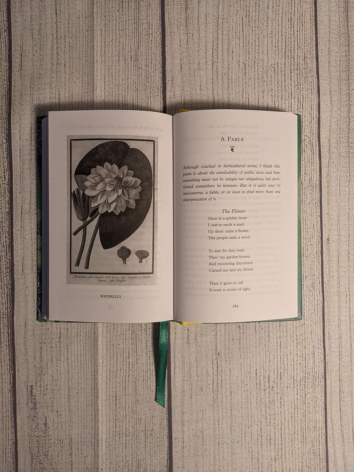 Green Shades : An Anthology of Plants, Gardens and Gardeners - Macmillan Collector's Library - 8