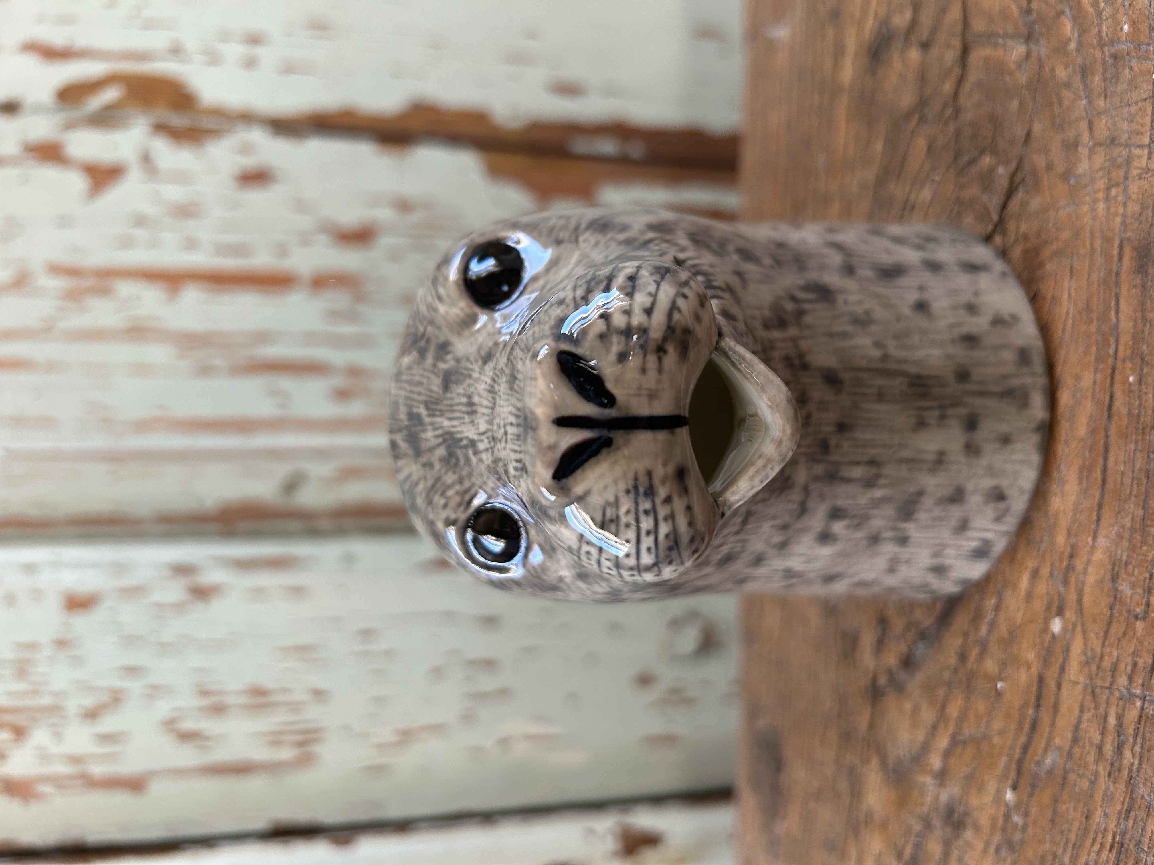 Mjölkkanna Säl (m) - 2