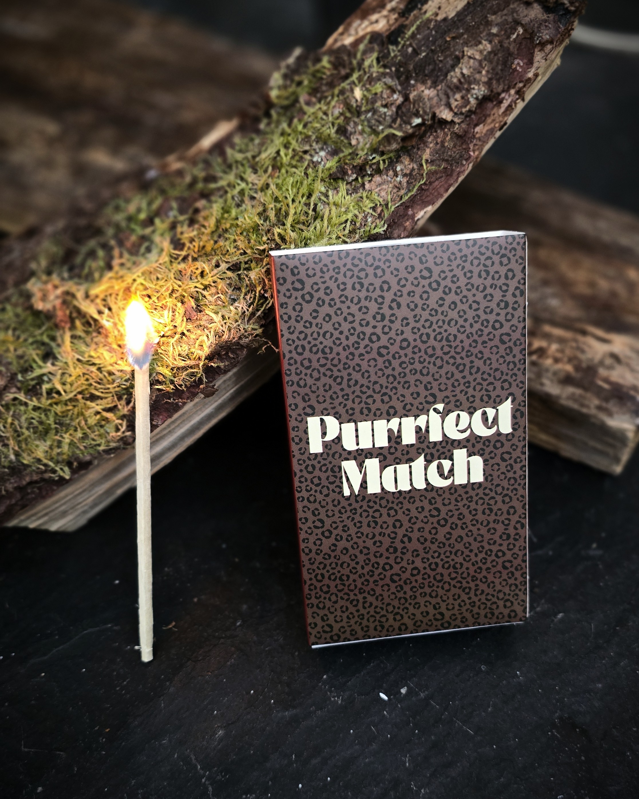 Tändsticksask Stor - Purrfect Match