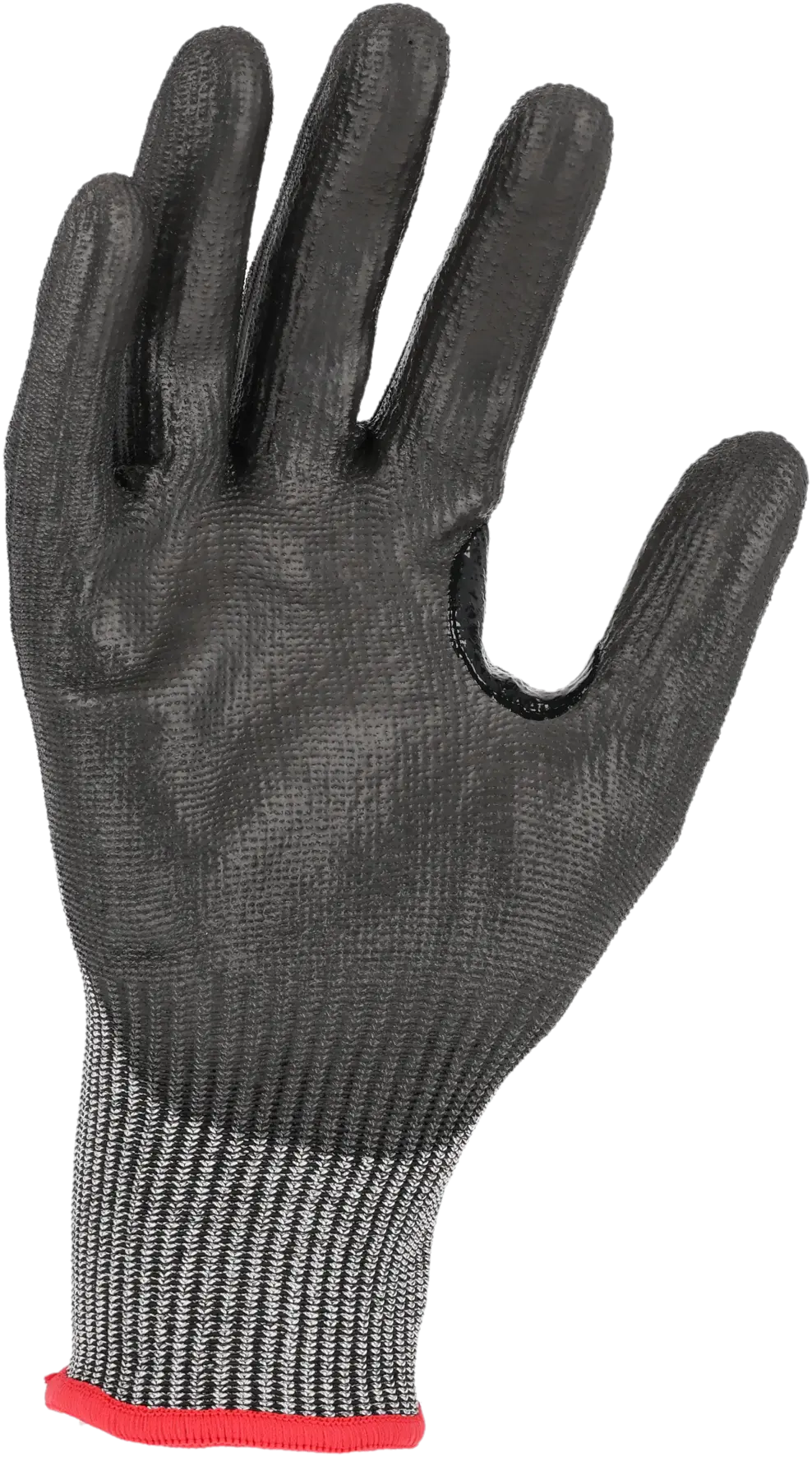 TEGERA 490 - 2