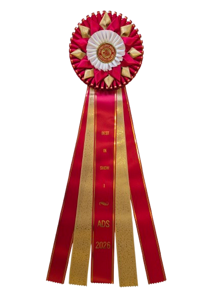 NEU: 6266 - Rosette für Pferd, Hund, Katze Veranstaltung, 71 cm - 4