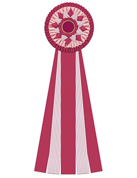 NEU: 6269 - Rosette für Pferd, Hund, Katze Veranstaltung, 71 cm