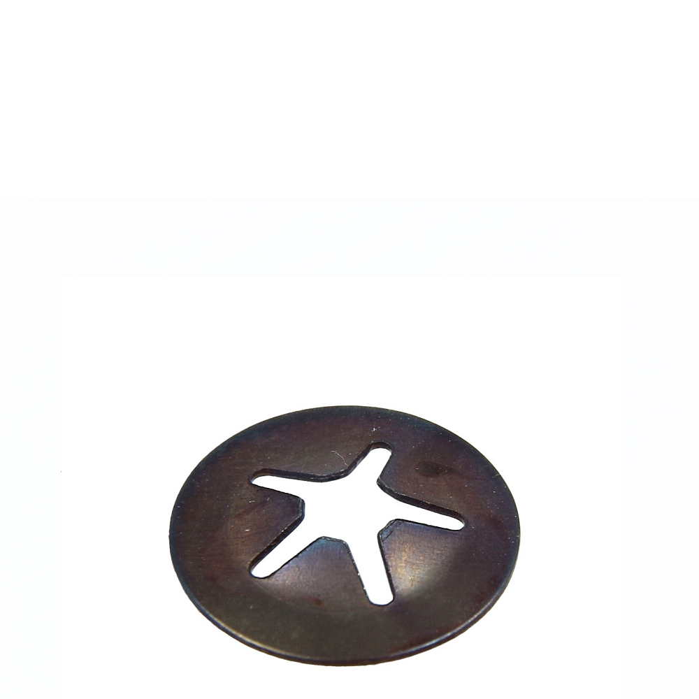 Fixeringsbricka, Rancilio Silvia - 37900505