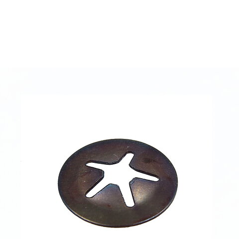 Fixeringsbricka, Rancilio Silvia - 37900505