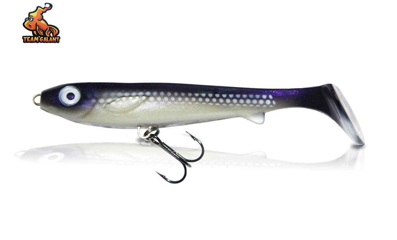 Team Galant Flatnose Shad 12cm 3-pack - 2