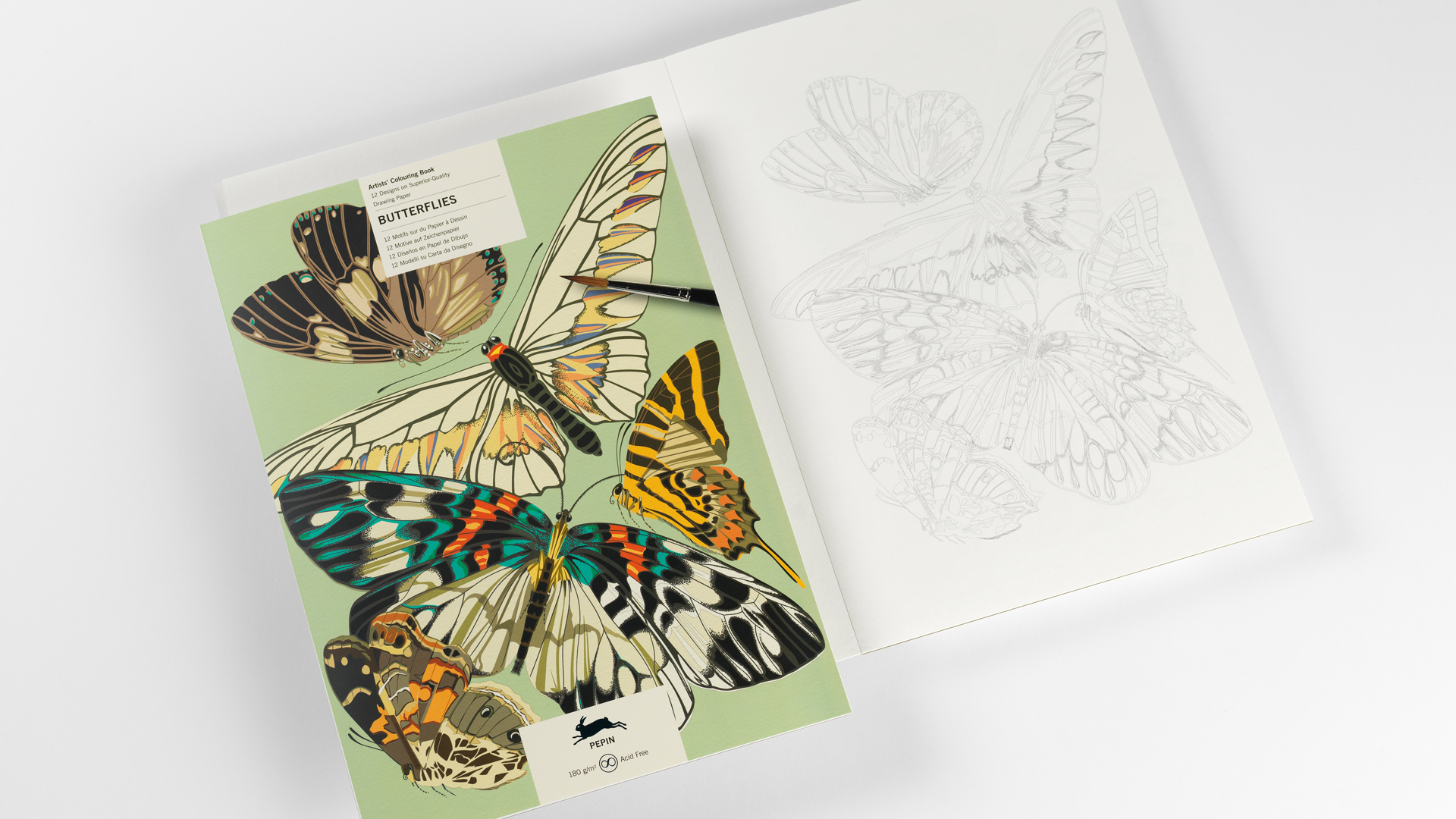 Butterflies, Colouring book - 3
