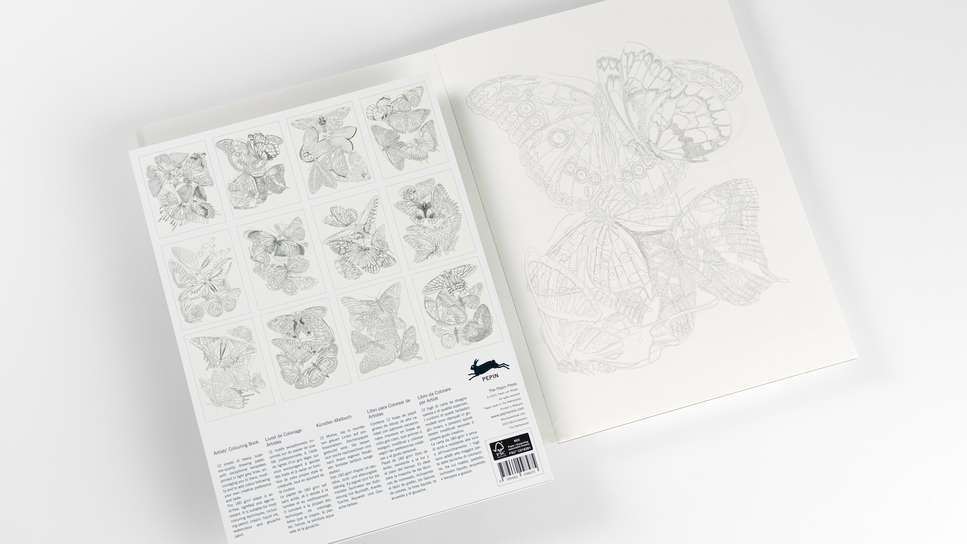 Butterflies, Colouring book - 4