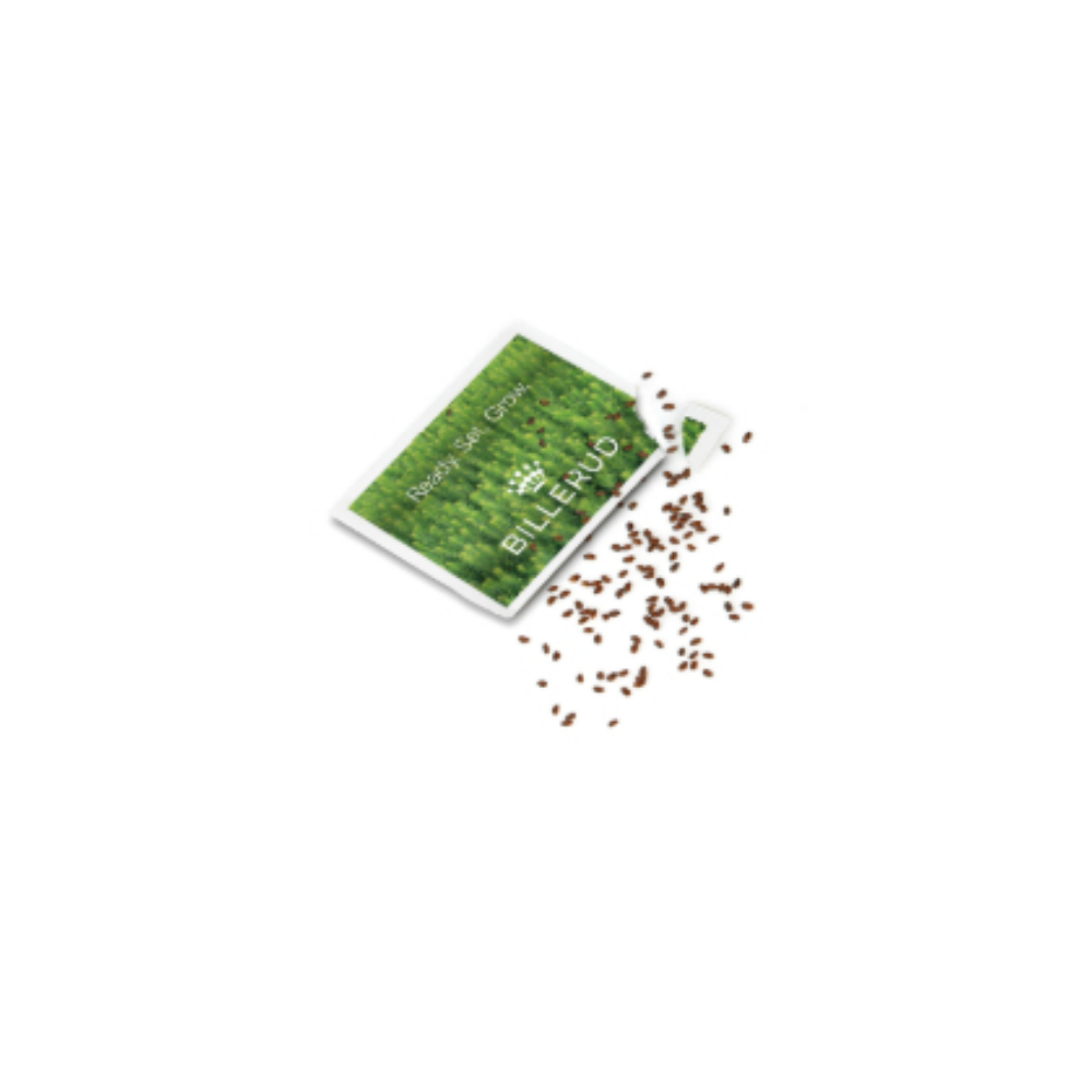 Bee flower mixture seeds