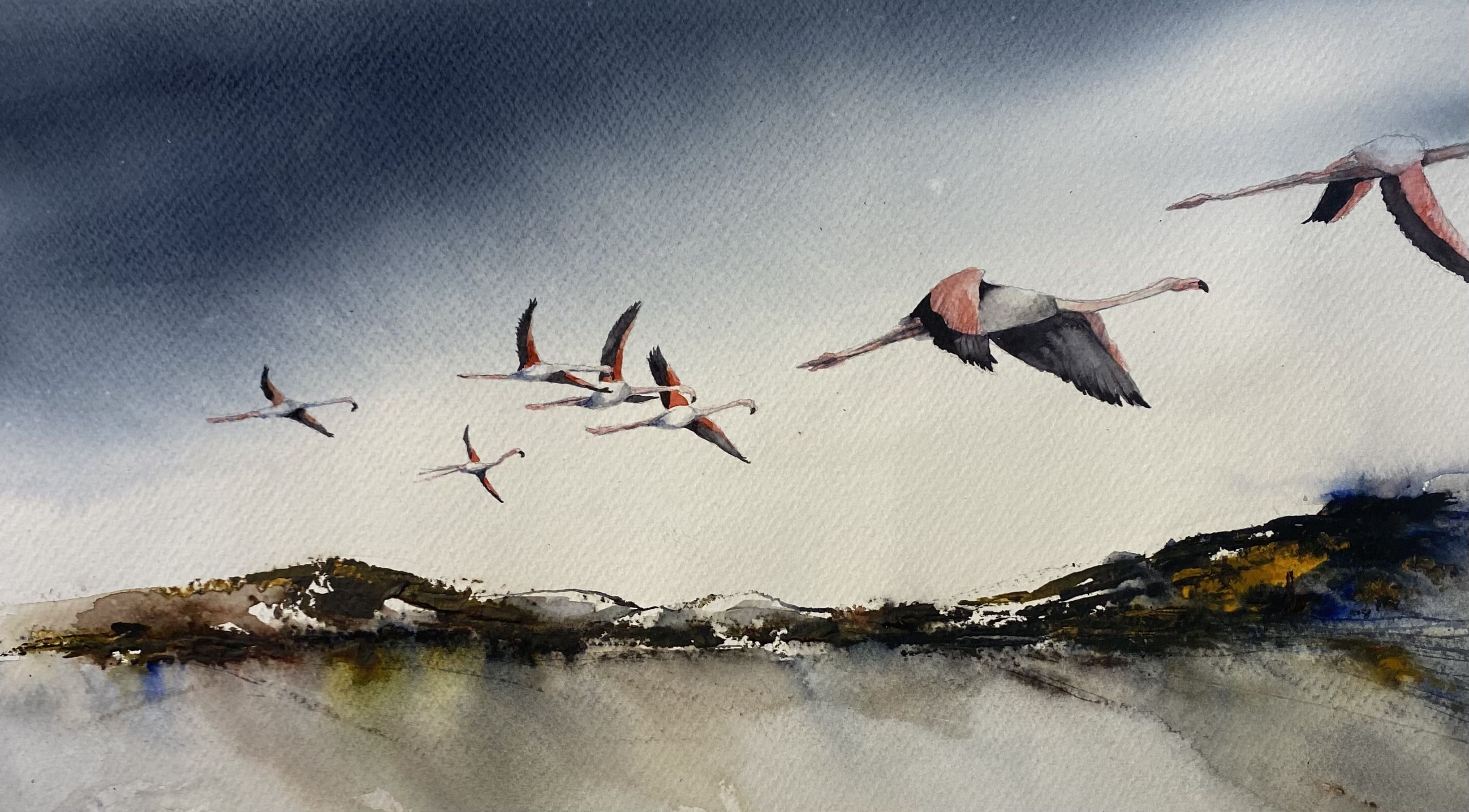 Flamingos över Fulufjället 30x45cm 