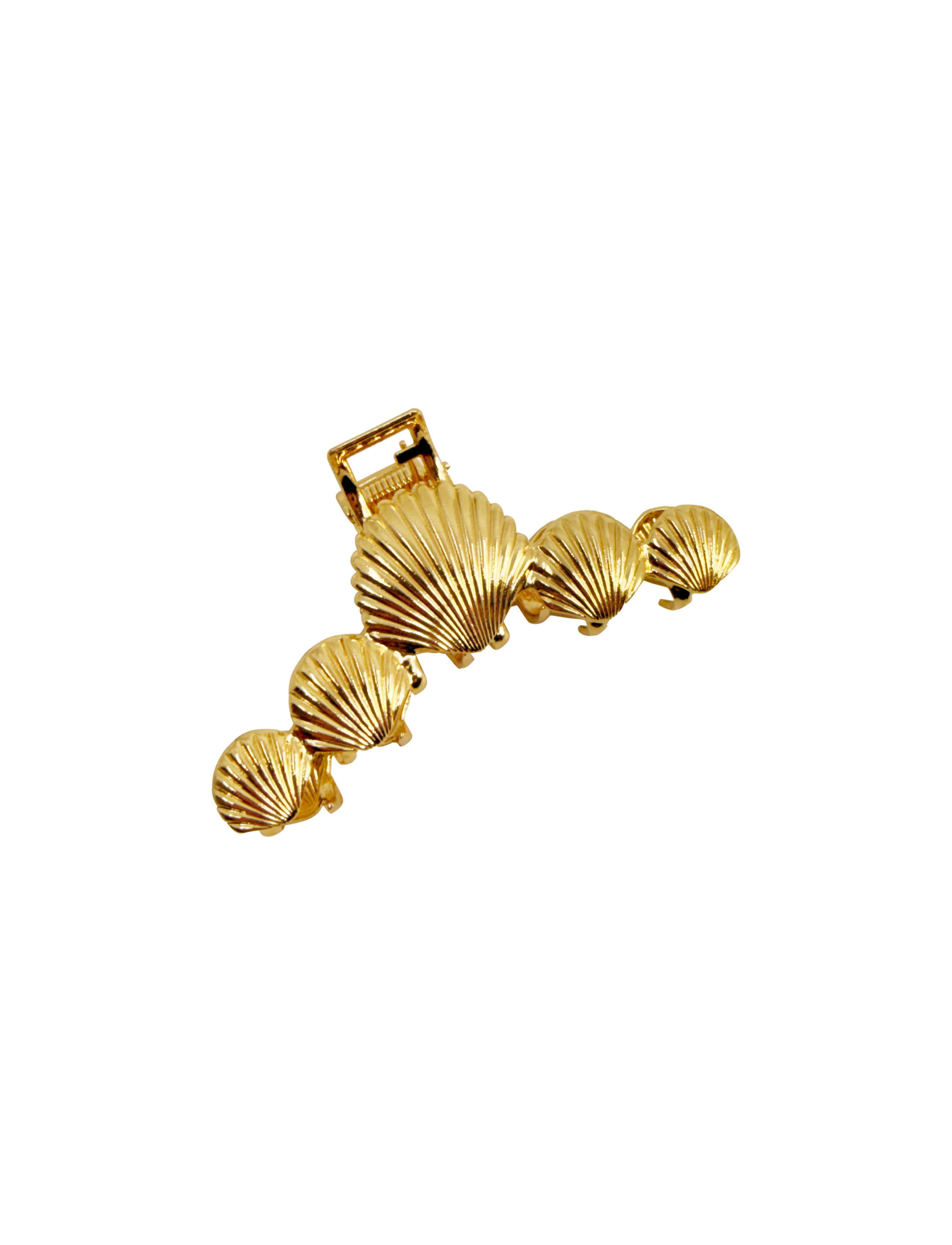 SEA CLAMP MULTISHELL GOLD
