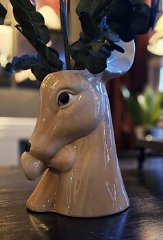 Vas - Deer Baby