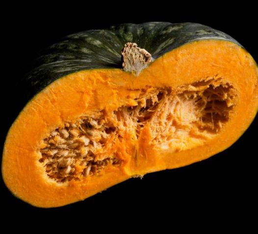 Zuccuri, Sweet Japanese Pumpkin F1  (Kastanjpumpa) En riktig delikatess!!! - 2