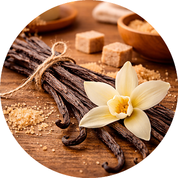 Dufti by Gies Deluxe Raumduft Soft Vanilla |100 ml