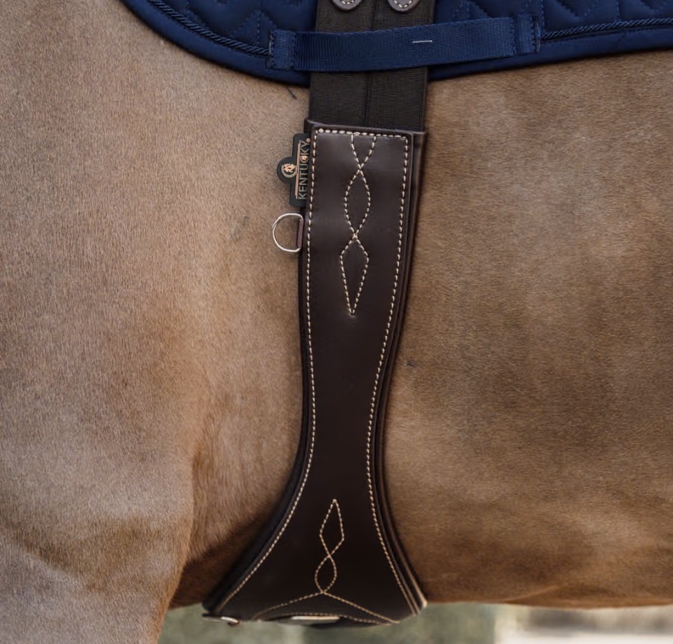 KENTUCKY  Anatomisk Sadelgjord Brun - 5
