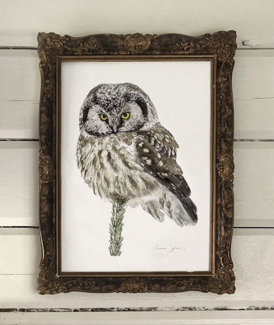 "SET" OWL - ART PRINTS & CARD, CUSHION & RUNNER   - 3