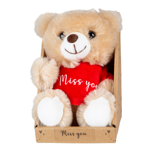 Teddybear Miss you