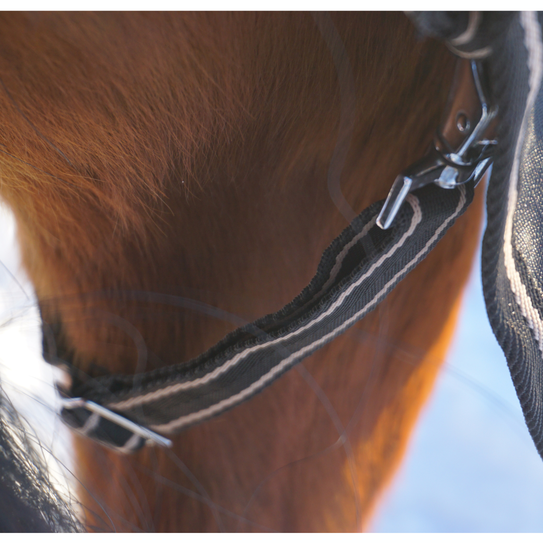 SWEDISH COLLECTION TURNOUT 150GR WITH REMOVABLE NECK  - 7
