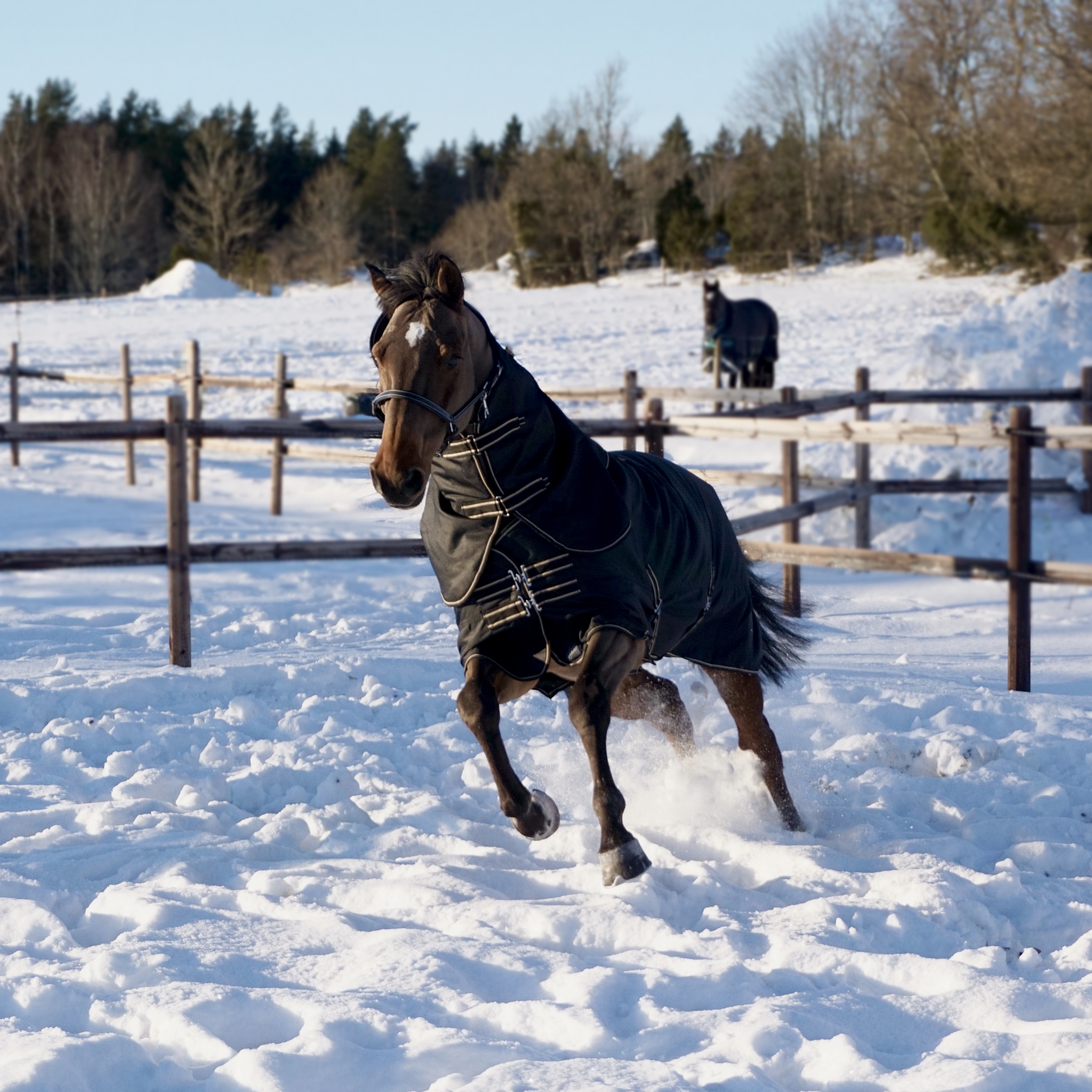 SWEDISH COLLECTION TURNOUT 150GR WITH REMOVABLE NECK  - 3