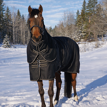 SWEDISH COLLECTION TURNOUT 150GR WITH REMOVABLE NECK 
