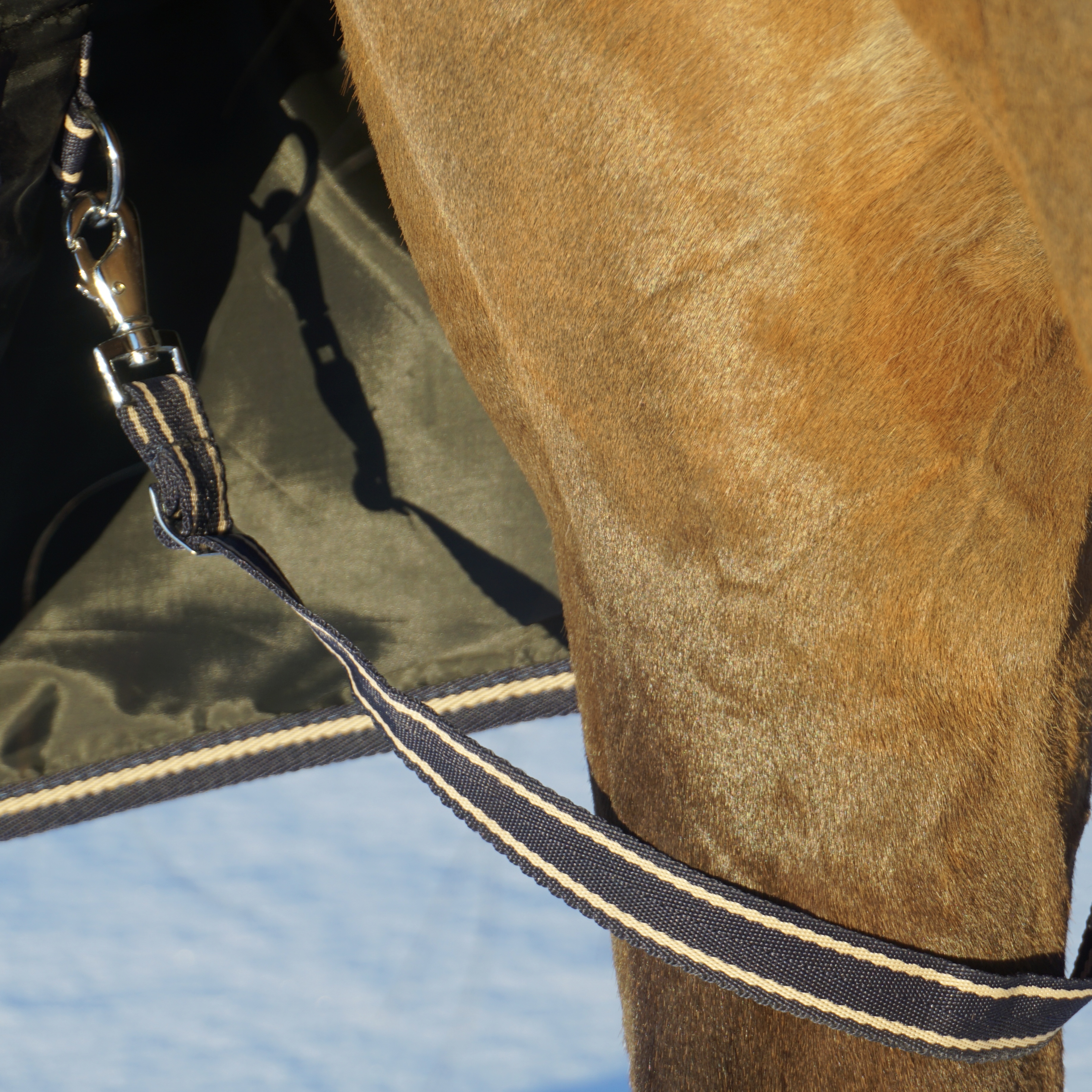 SWEDISH COLLECTION TURNOUT 75GR WITH REMOVABLE NECK  - 7