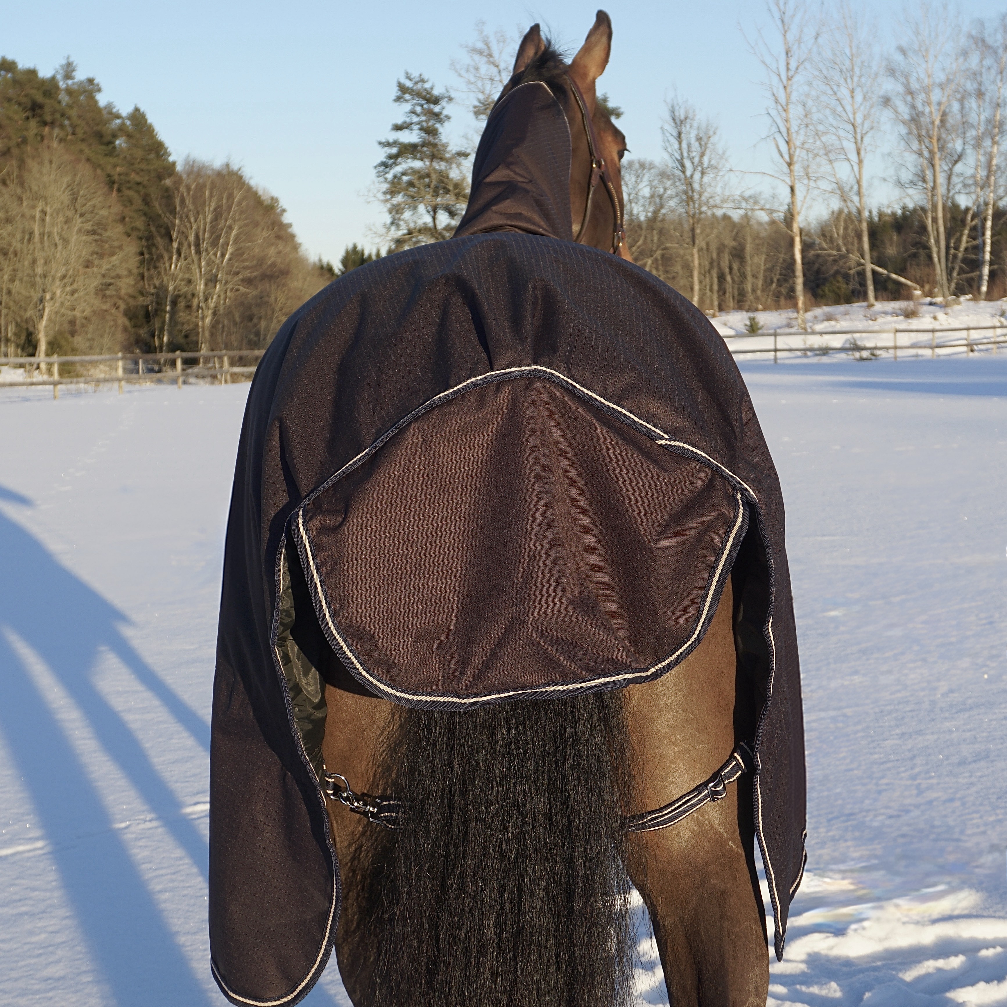 SWEDISH COLLECTION TURNOUT 75GR WITH REMOVABLE NECK  - 3