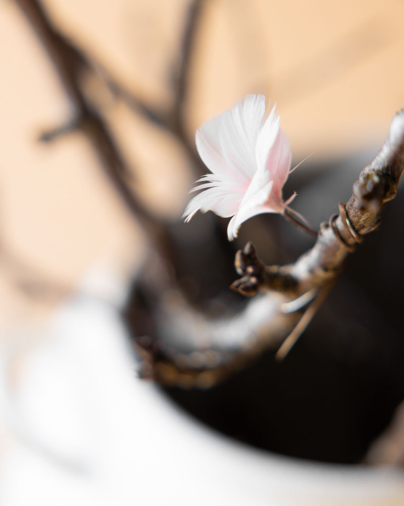 Feather Wired Flower - Light Pink - 2 cm - 12 pcs