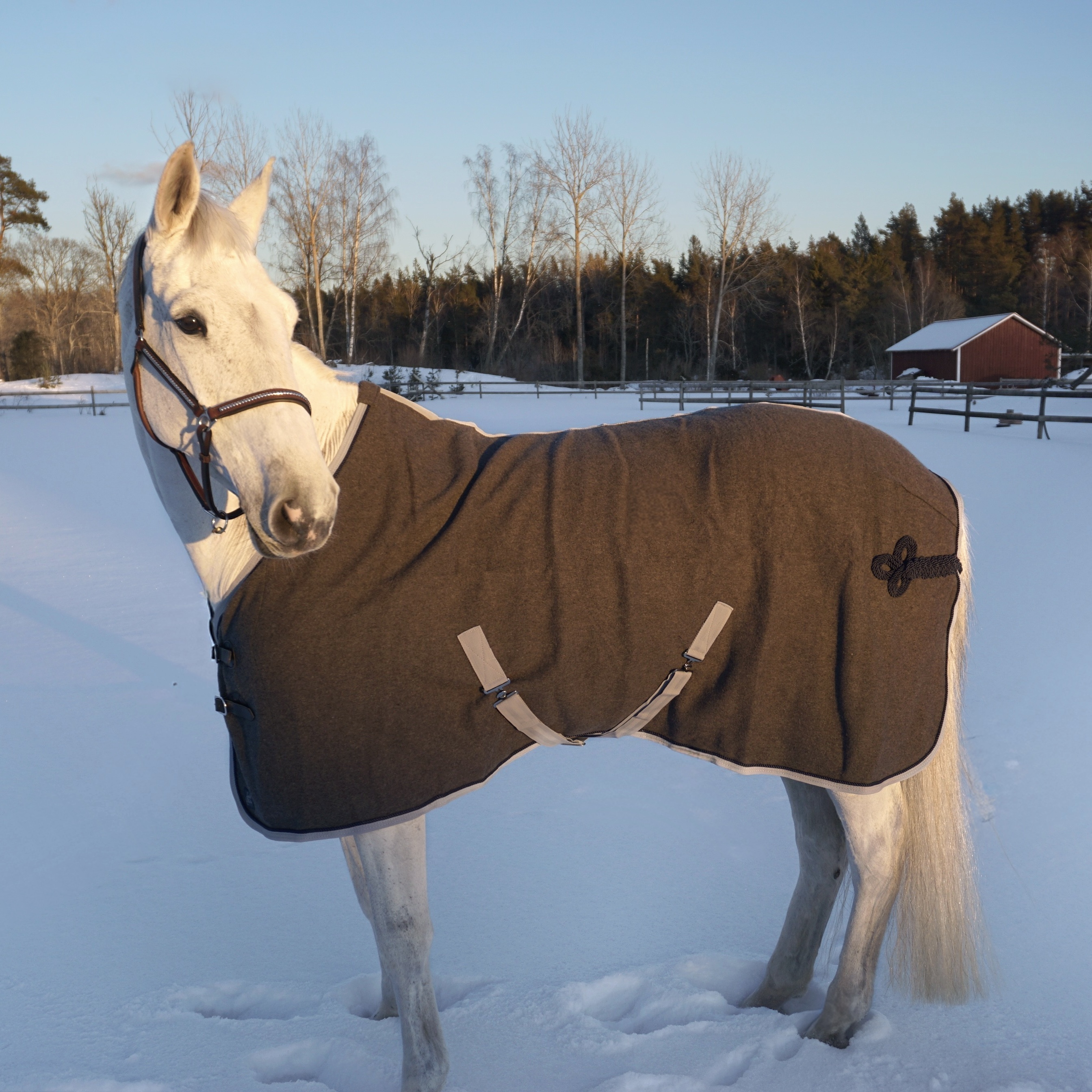 SWEDISH COLLECTION WOOL  BLANKET - 3