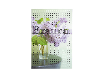 Dubbelt Kort Examen Silverprickar