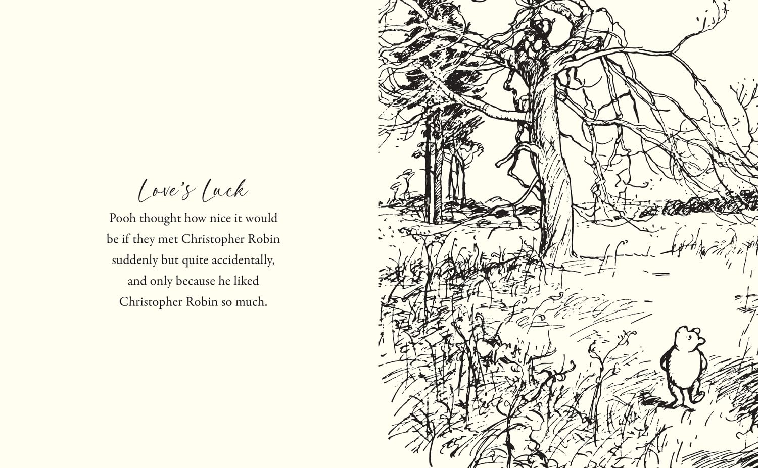 Winnie-the-Pooh :  Love from Pooh - Celebrating 100 Years of Love - 7