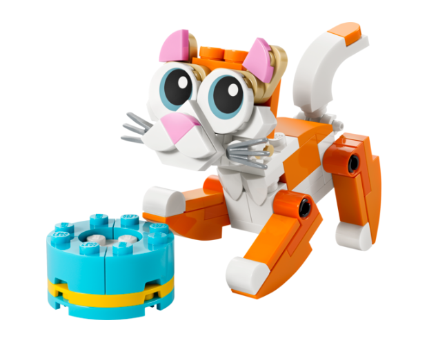 Orange katt V29 - 2