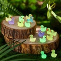100 kpl Hehkuva pimeässä valaiseva Tiny Ducks Set koristelu Realistinen muoto Kestävä hartsi ihastuttava ankat joulun syntymäpäiväjuhliin lasten päivä - 5