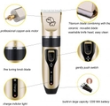 Ammattimainen koiran ja kissan karvojen trimmeri - Kulta - Grooming Hair Clipper (karvanleikkuri) - 12