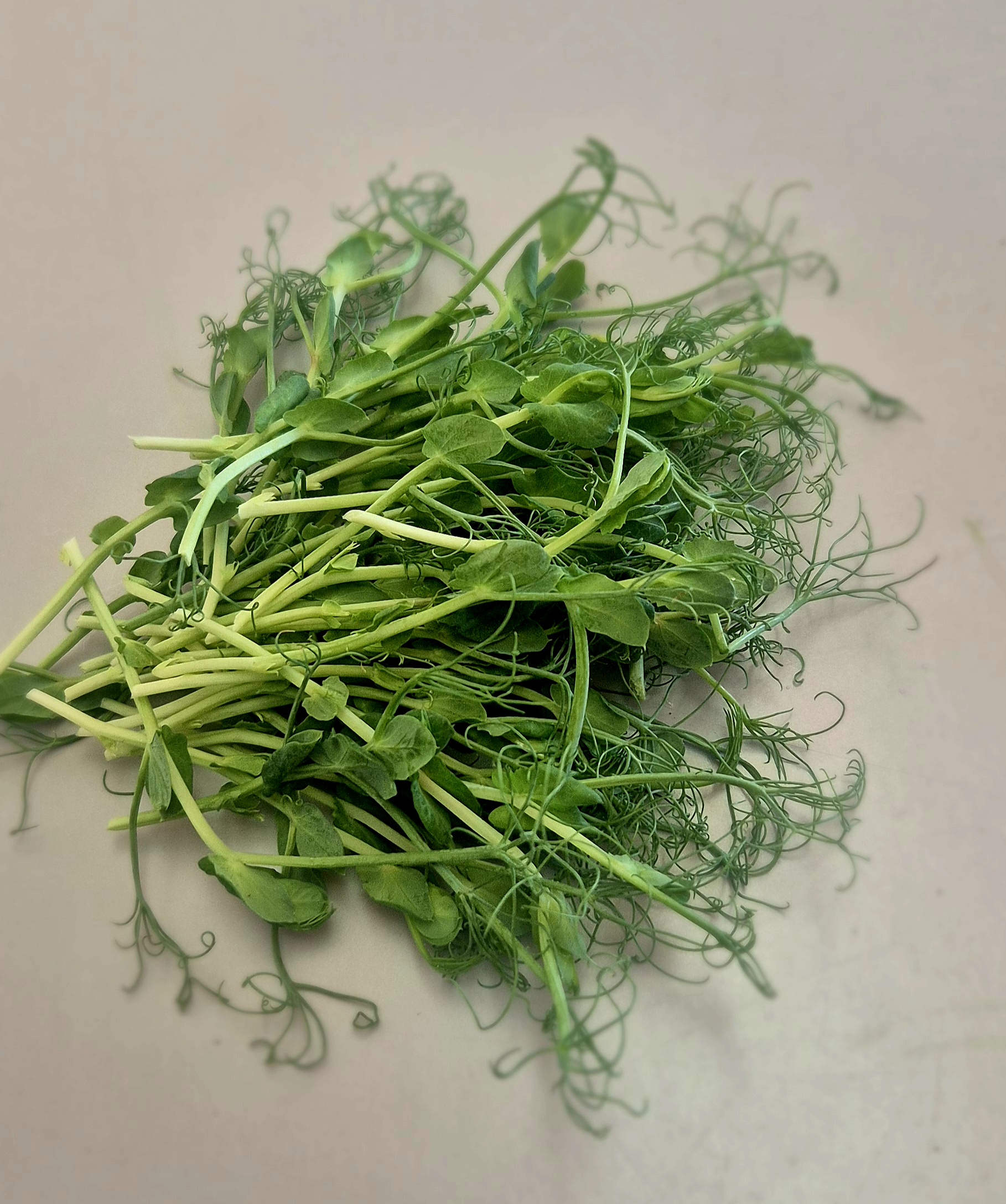 Ärtskott EKO 500 g, Mikrogården 