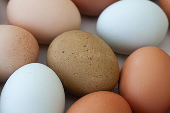 Grönbetesägg 30 pack x 8 lådor, Ängsgården 