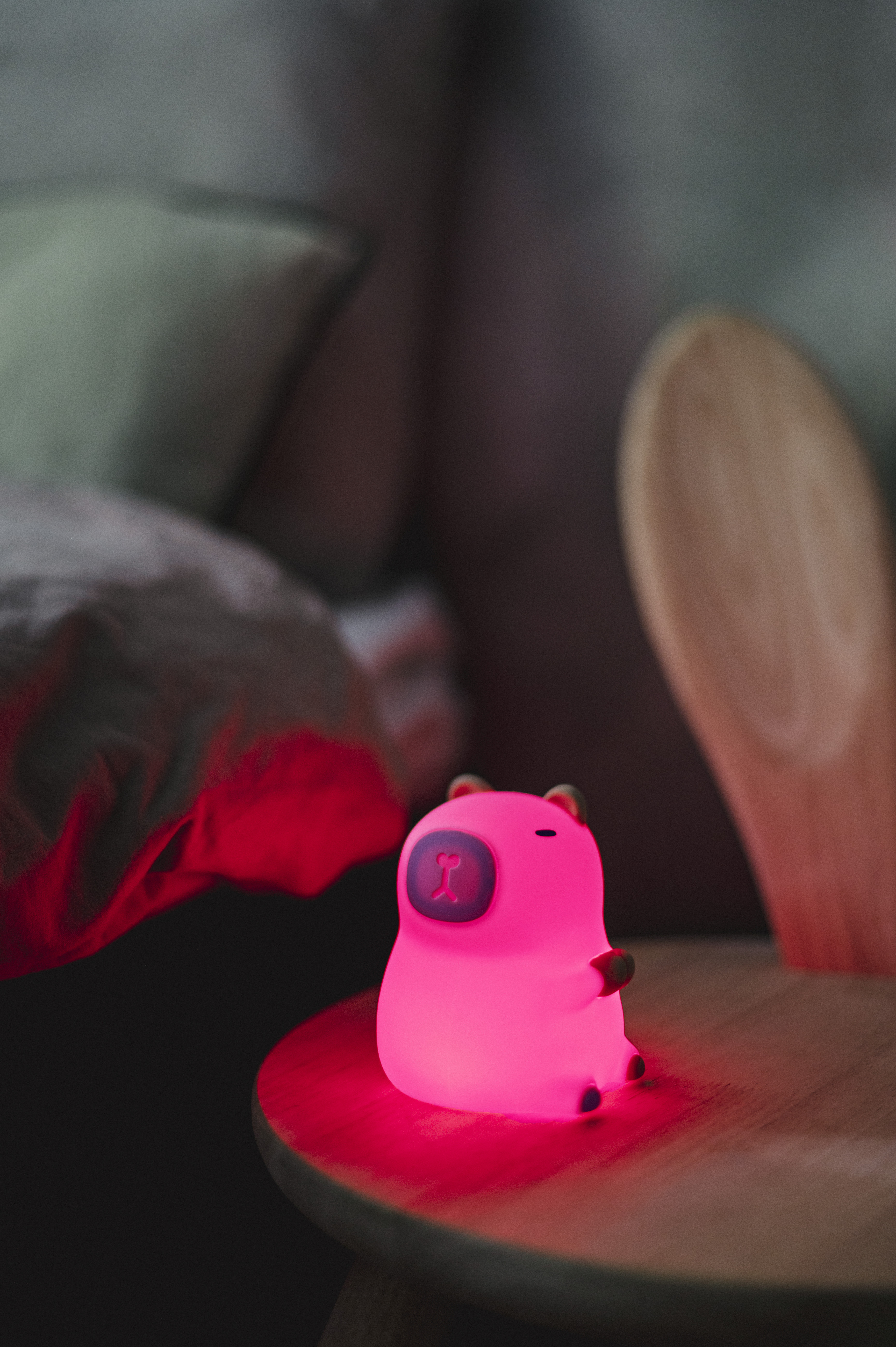 Nattlampa LED Functional - Capybara  - 3