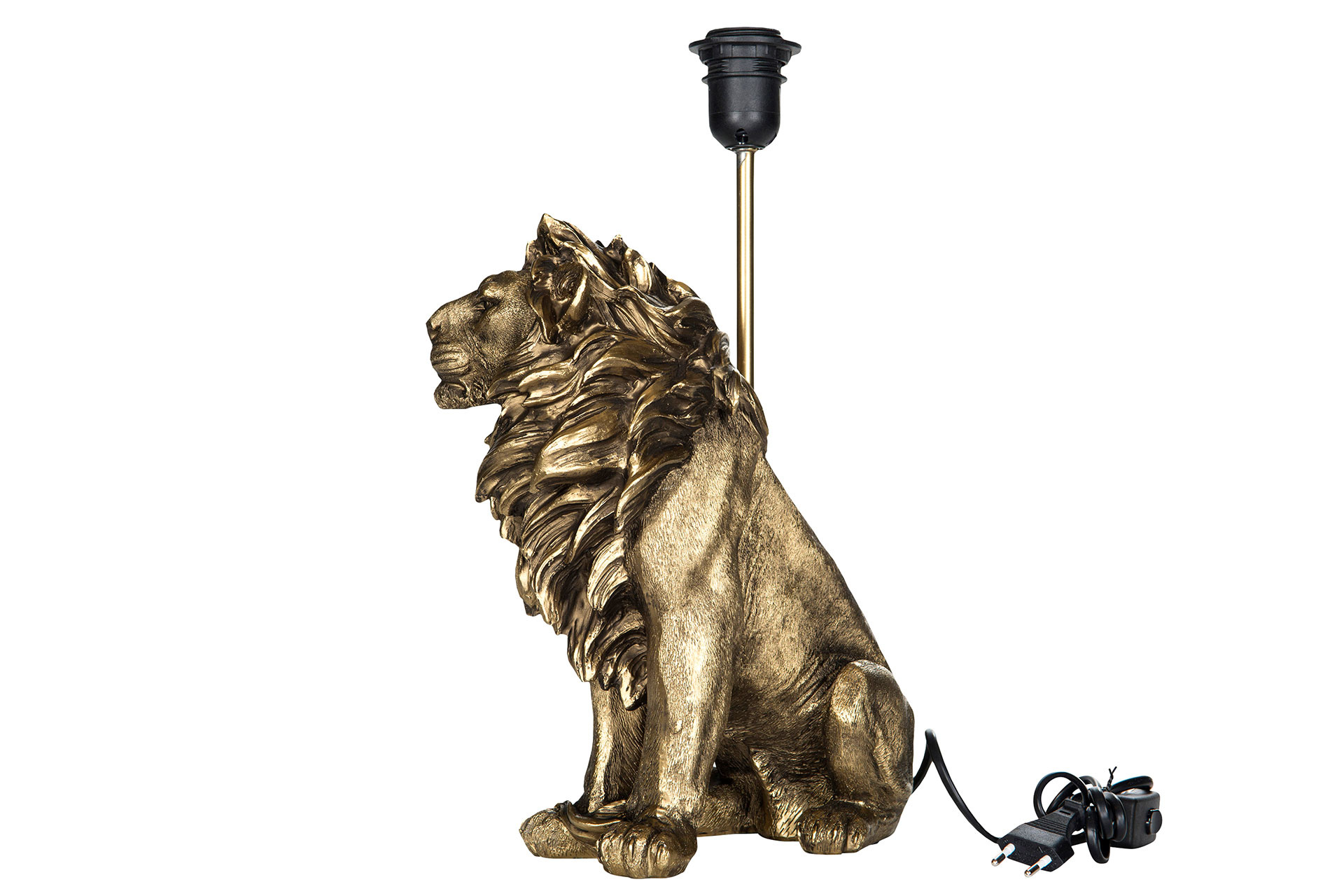 Lampfot / Lion 