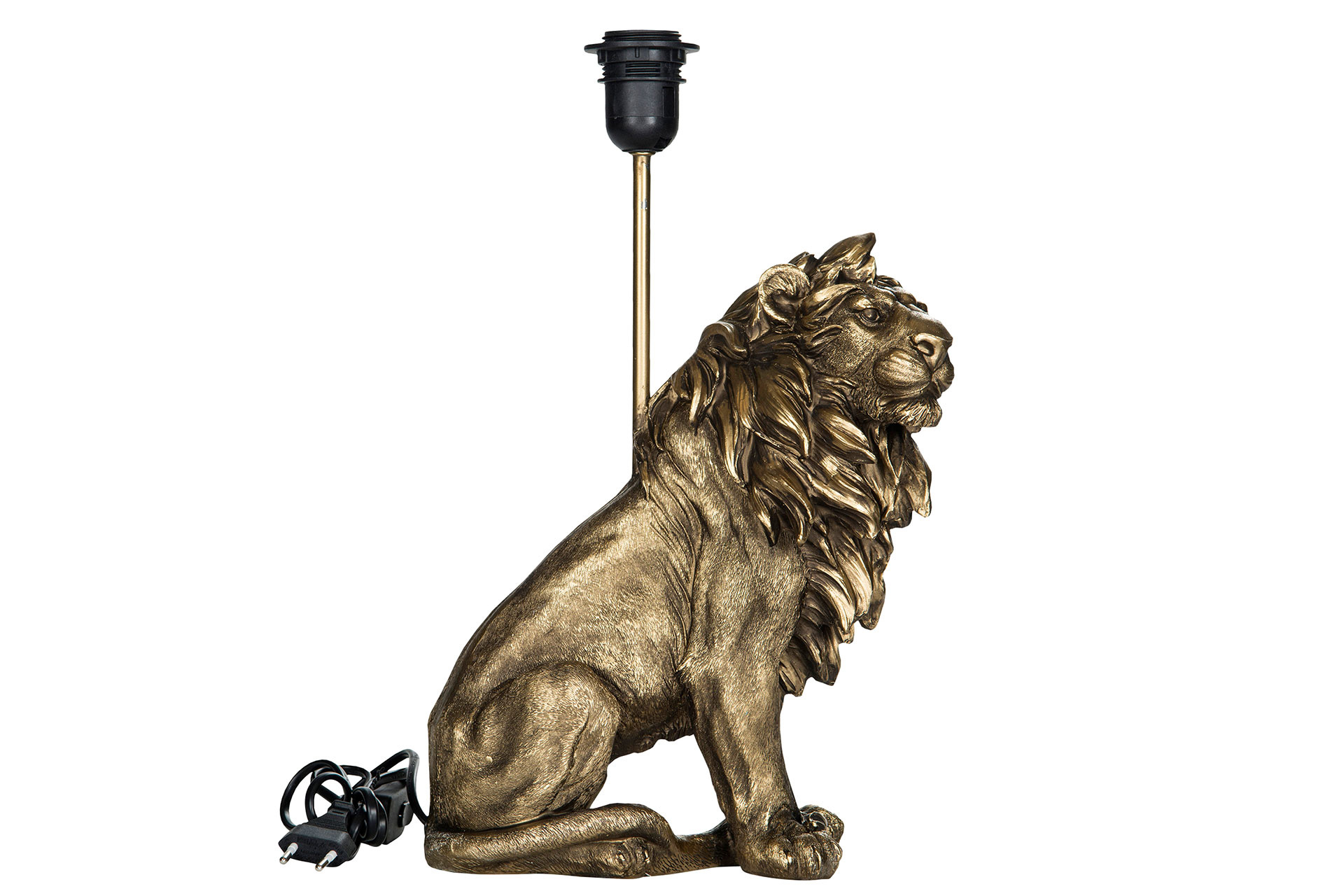 Lampfot / Lion 