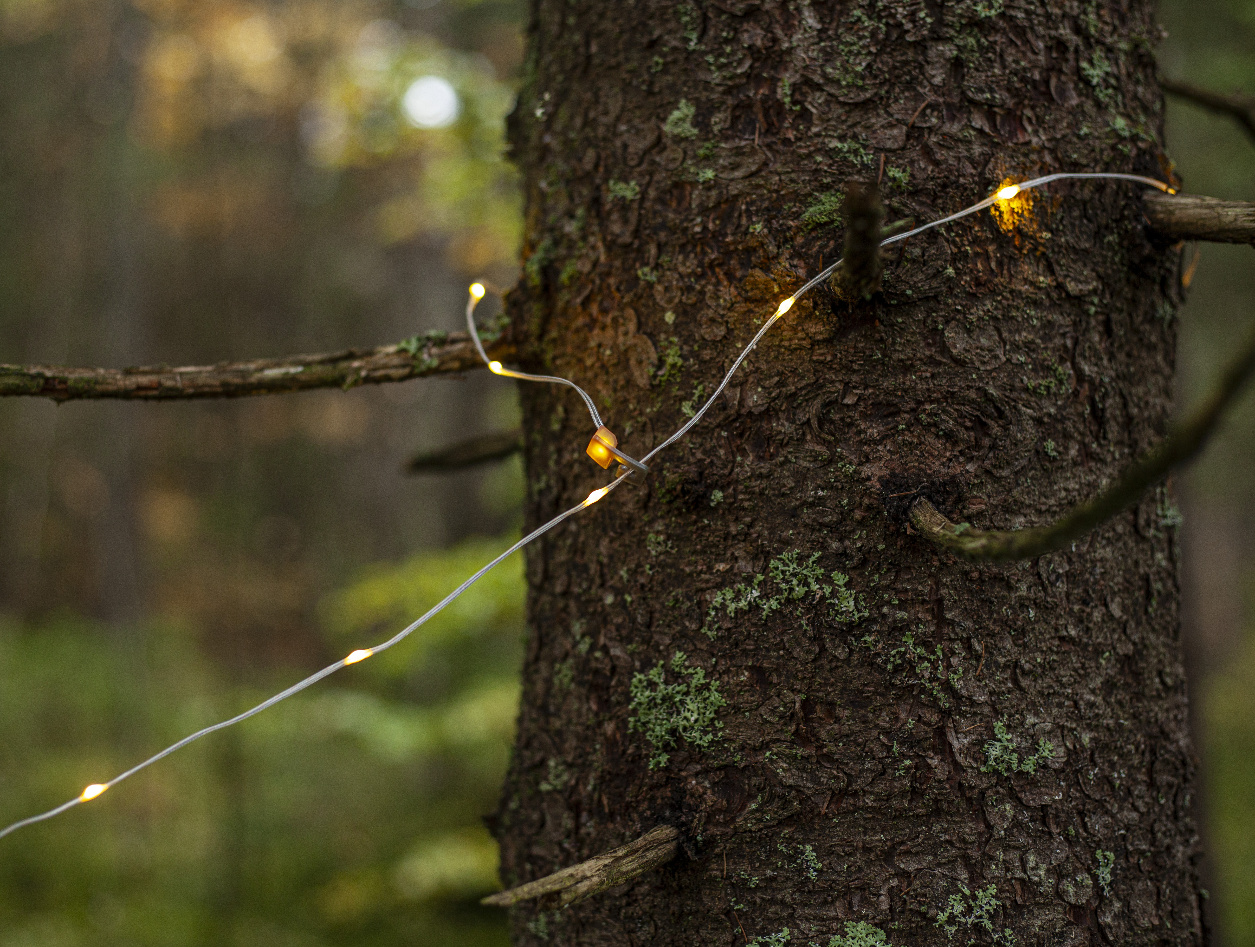 Light loop Rondo - 2