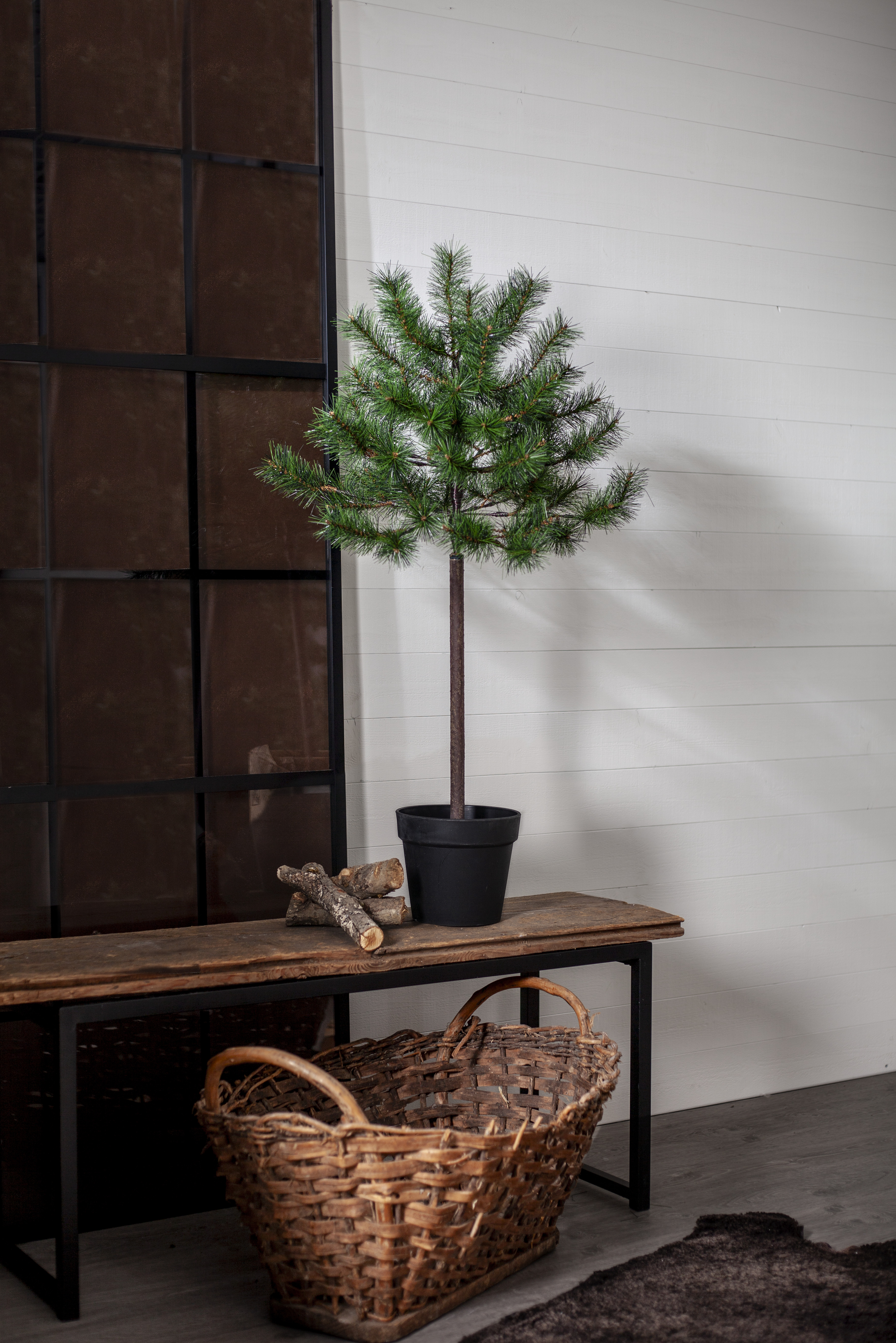 Pine Tree - 100x58 cm - 3