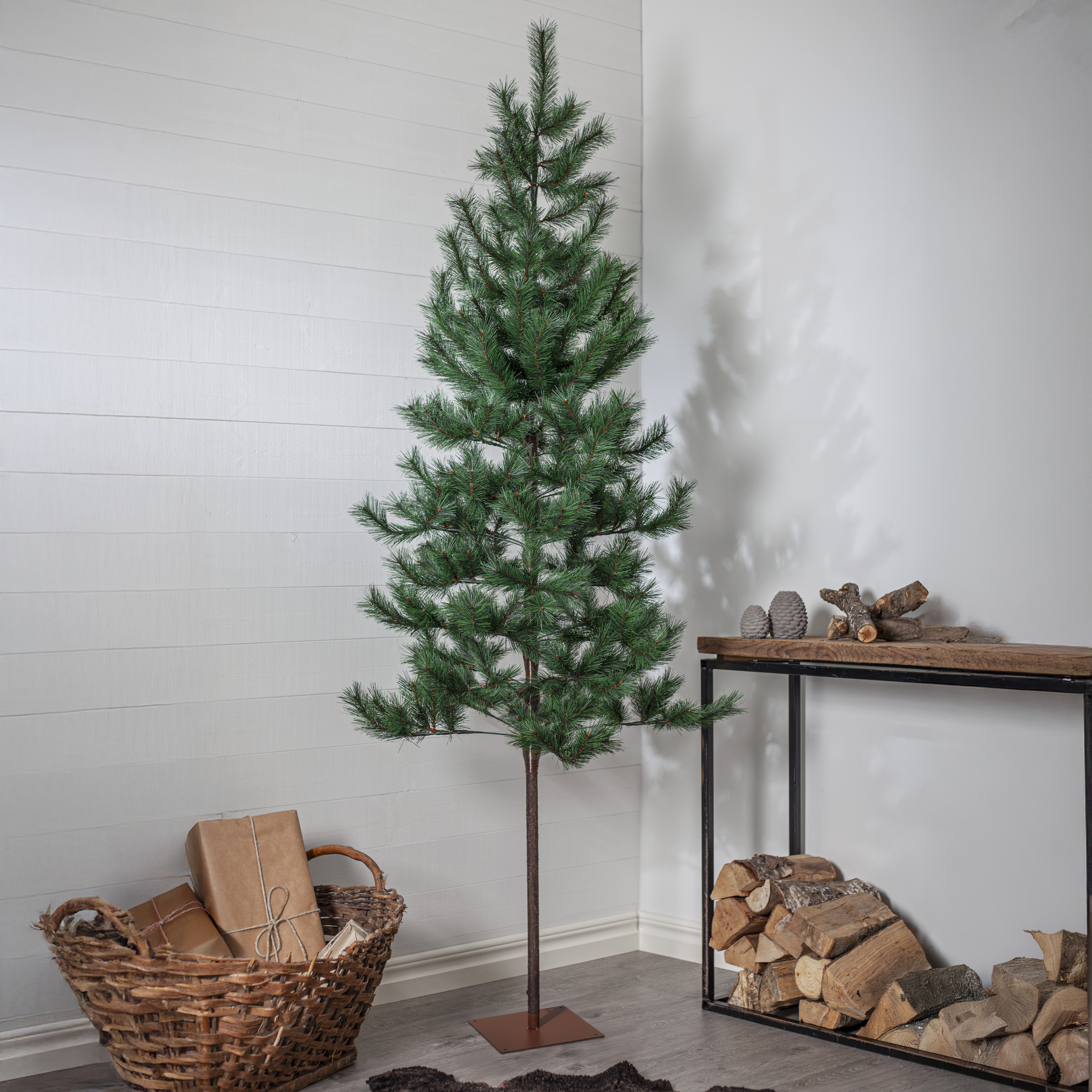 Christmas tree Tallis