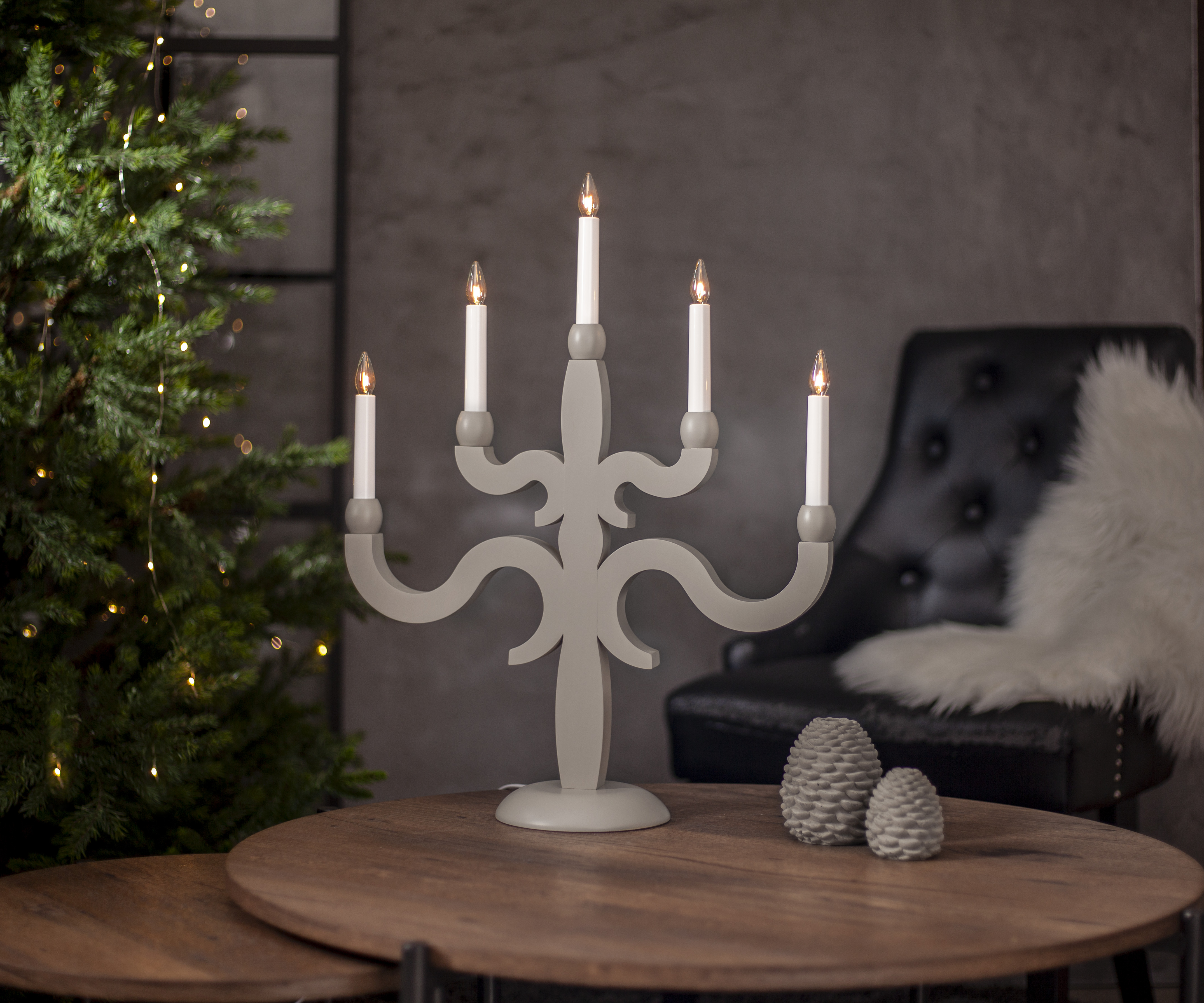Candlestick Canna - 2