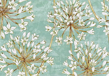 Allium Blossoms Note Cards