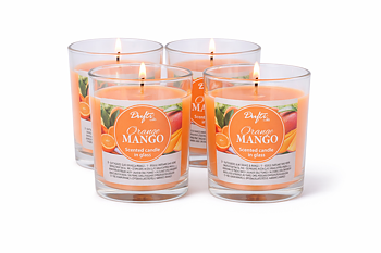 Dufti by Gies Duftkerze im Glas Orange Mango – 4 Stück im Tray | 86 x 70 mm